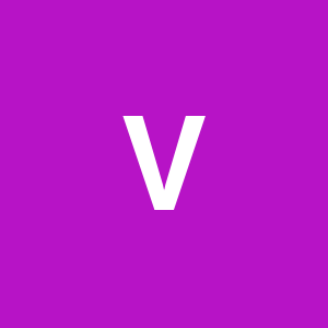 Velan Info Services India Pvt Ltd