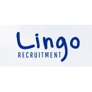 Lingo Recruitment