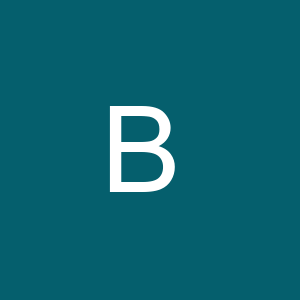 Braincourt GmbH - Managementberatung & Informationssysteme