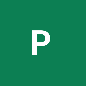 Placement Point Ltd