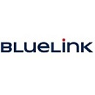 Bluelink Interenational CZ